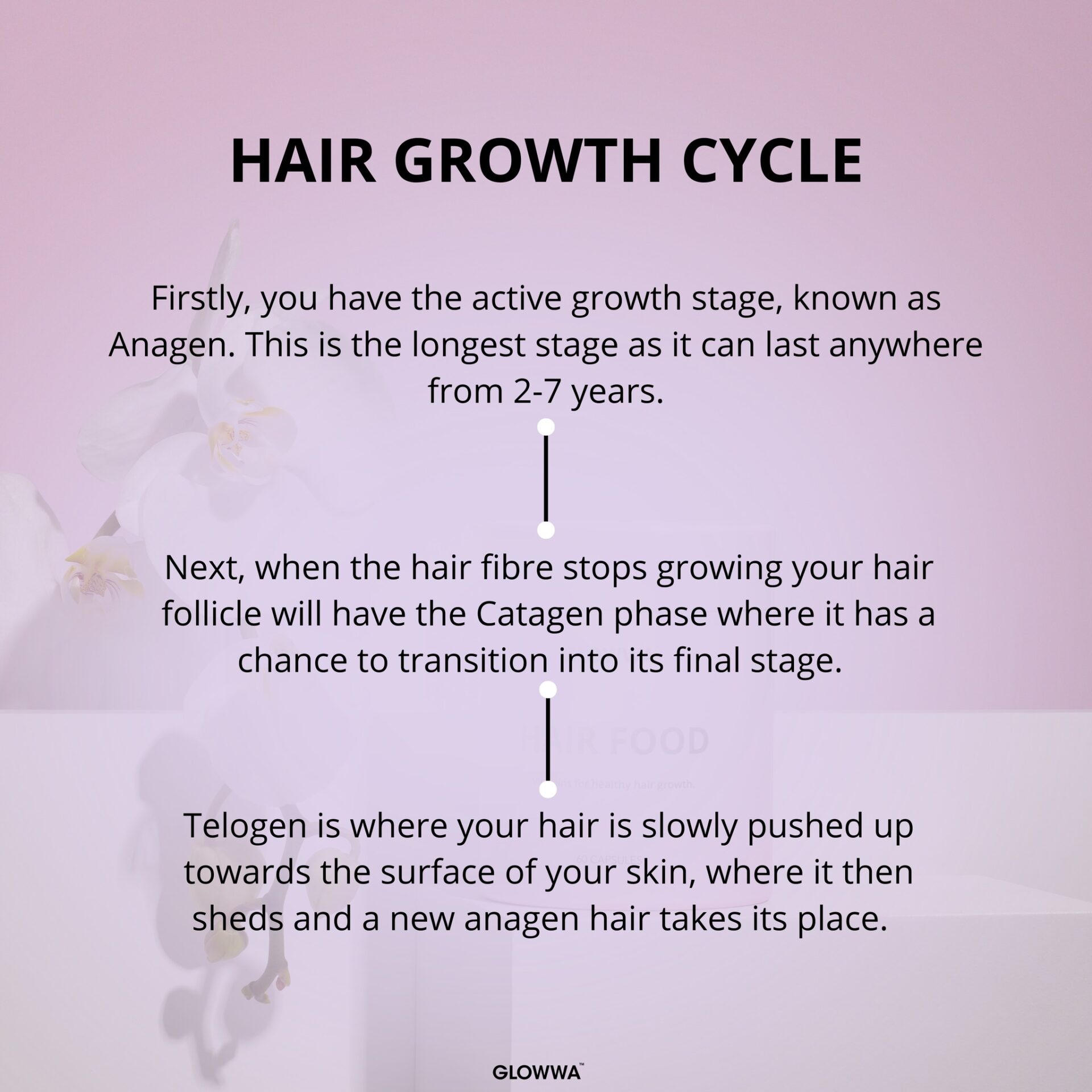 Hair growth cycle