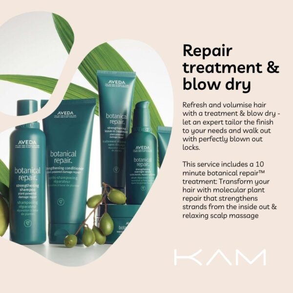 REPAIR TREATMENT AND BLOW DRY PACKAGE KAM SALON MORAY