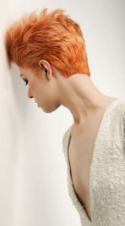 Ladies Collection 2015 KAM Hair & body Elgin